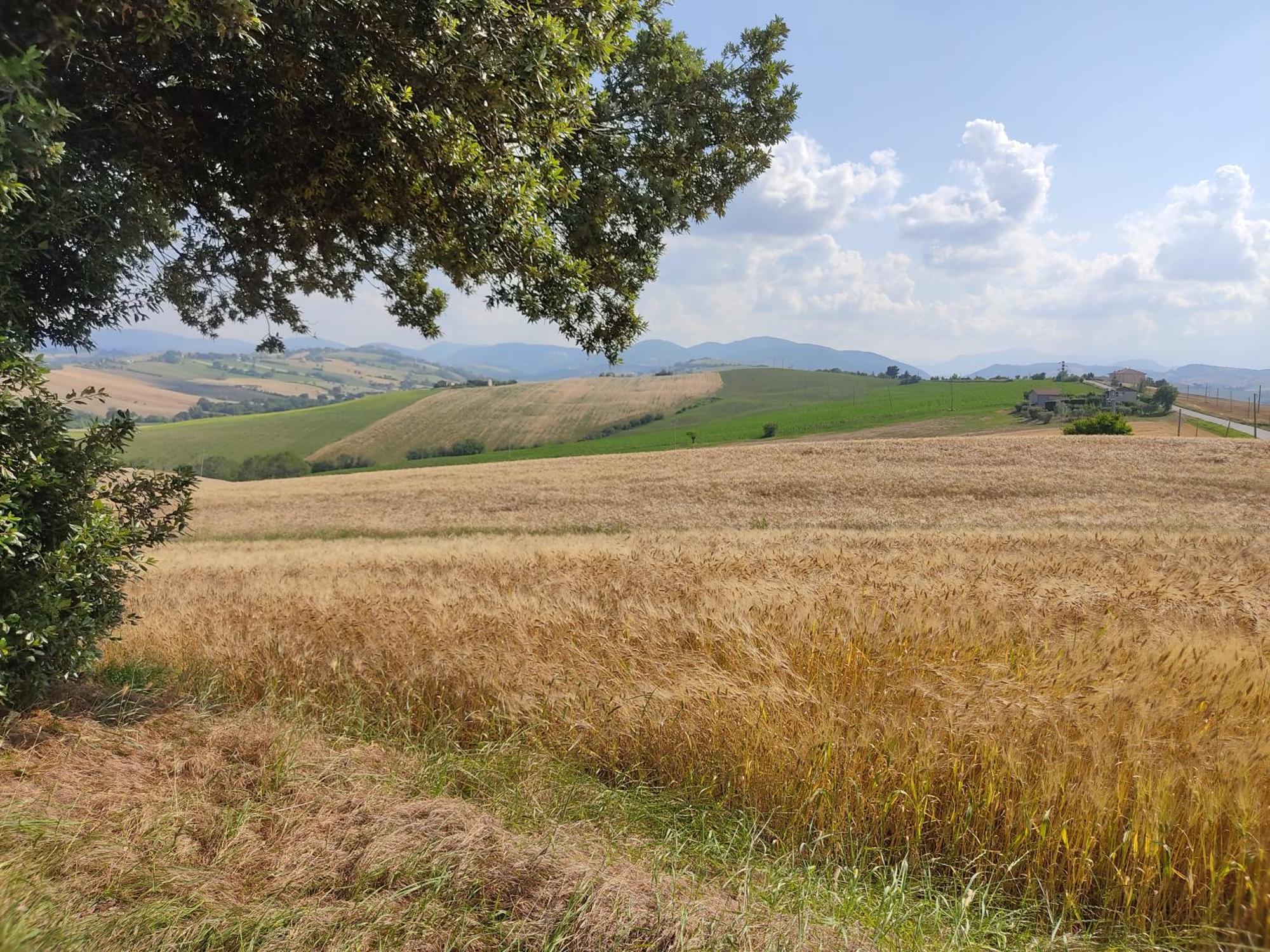 Casa Borgo Fonte Βίλα Castelleone di Suasa Εξωτερικό φωτογραφία