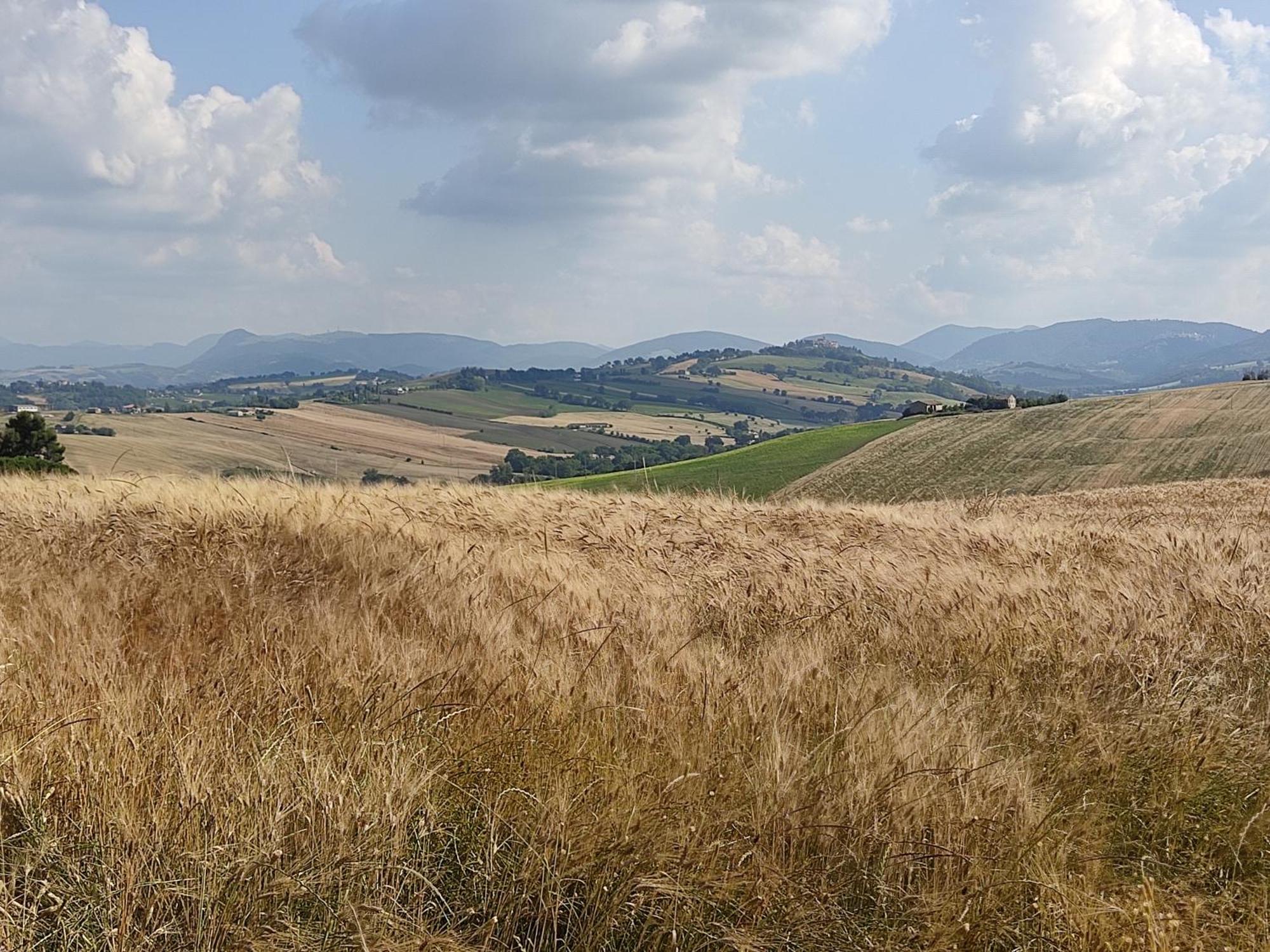 Casa Borgo Fonte Βίλα Castelleone di Suasa Εξωτερικό φωτογραφία
