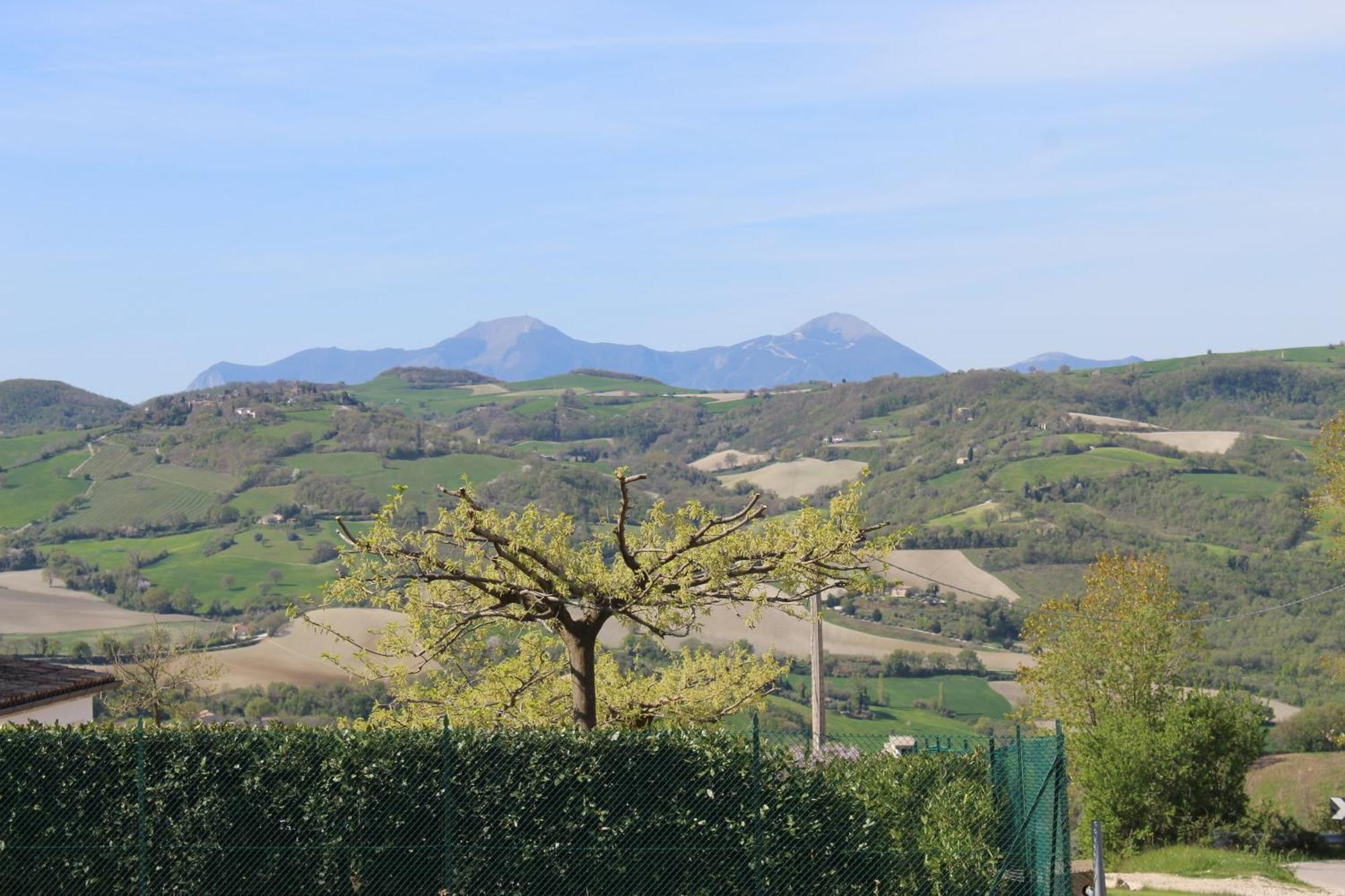 Casa Borgo Fonte Βίλα Castelleone di Suasa Εξωτερικό φωτογραφία