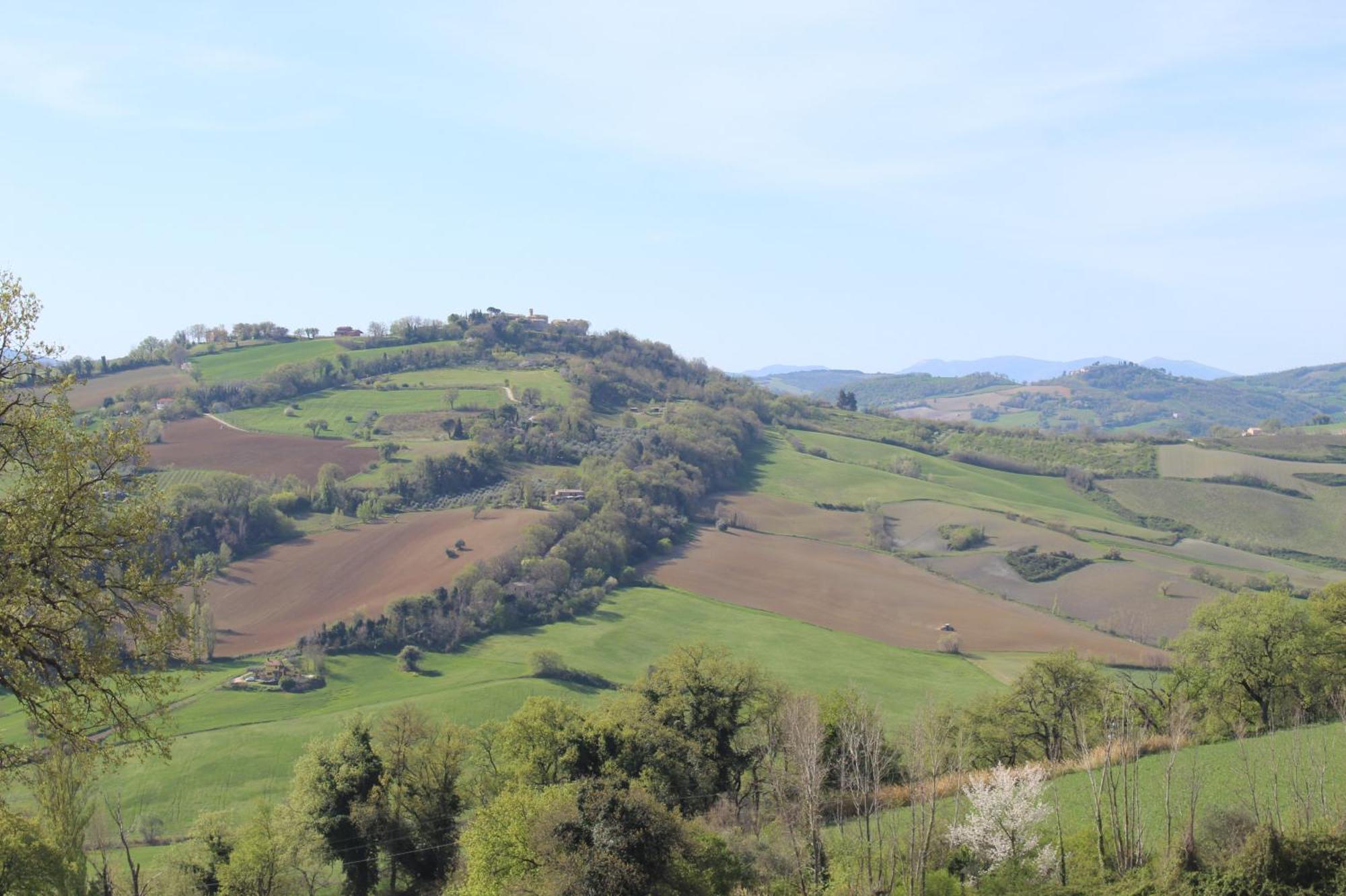 Casa Borgo Fonte Βίλα Castelleone di Suasa Εξωτερικό φωτογραφία