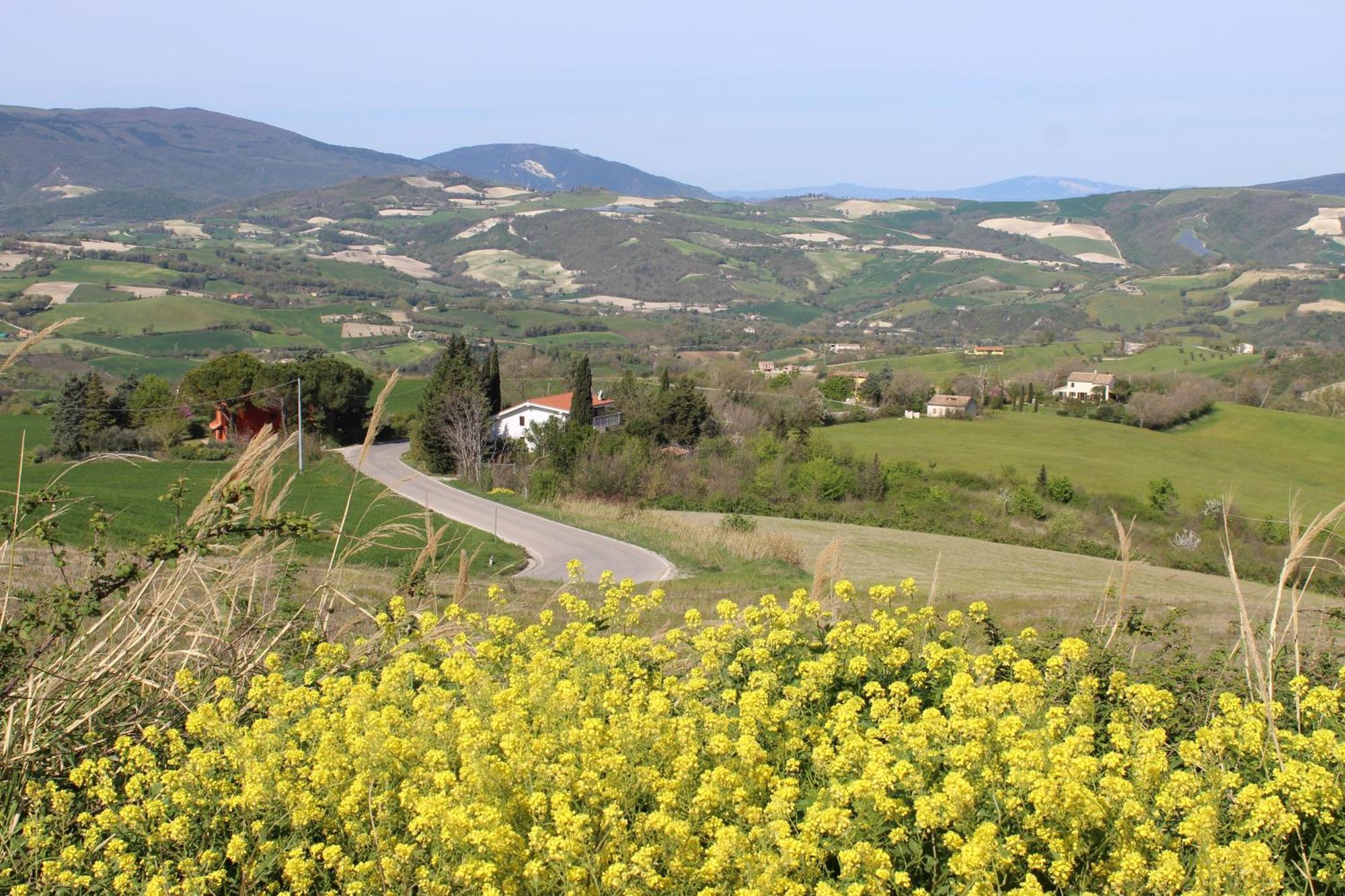 Casa Borgo Fonte Βίλα Castelleone di Suasa Εξωτερικό φωτογραφία